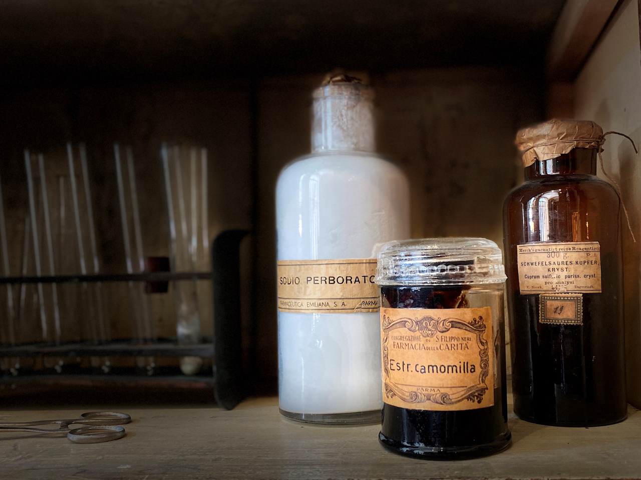 Medicinal Herbs, Botanicals and Apothecaries: classic visit