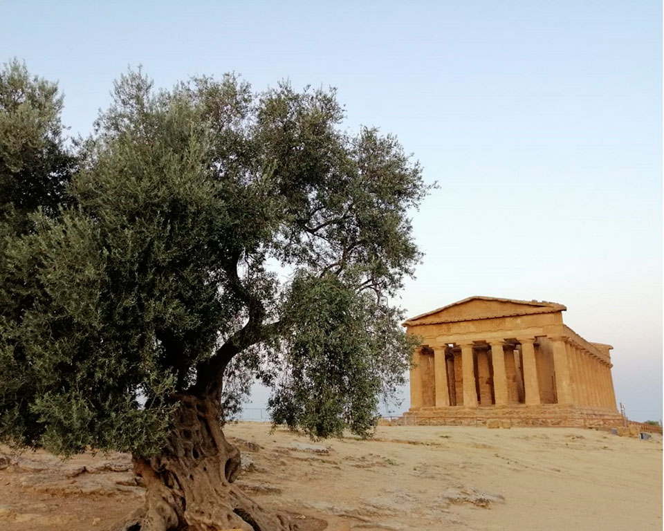 Sulla Magna Via Francigena - Long weekend (Cammarata e Santo Stefano Quisquina)