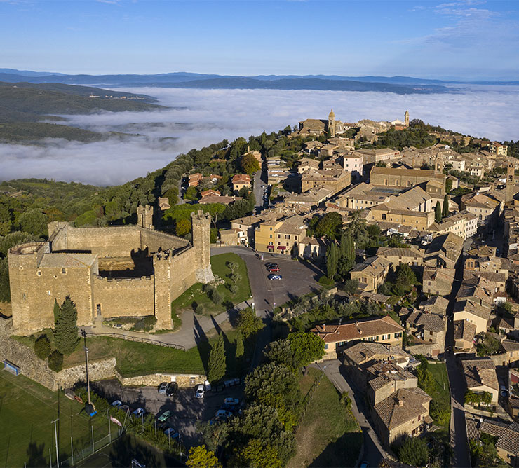 Montalcino Museums: Montalcino's gold, the town's heritage